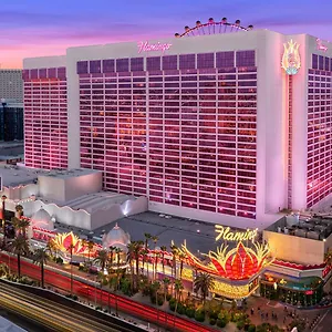 Flamingo Vegas & Casino Θέρετρο